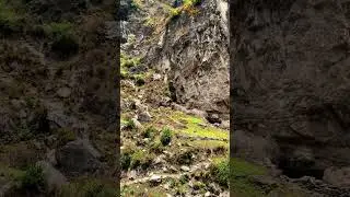 Hidden Waterfalls of India | Tirthan Valley | Jibhi #shorts #waterfall #nature #shotoniphone