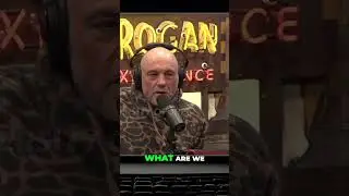 Aliens Among Us? Joe Rogan Investigates!