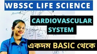 WBSSC LIFE SCIENCE || CARDIOVASCULAR SYSTEM ||] SLST LIFE SCIENCE