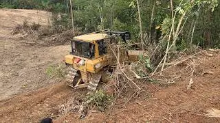 Neat Oil Palm Terrace with a D6R XL Bulldozer in the Plantation