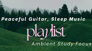 The quiet beauty of everyday life - Guitar Playlist - instrumental