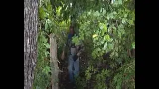 Leteci Dzopa