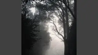 The Rainfall