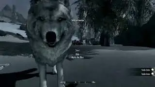 Winter Fun Time Again in Skyrim p. 1.16