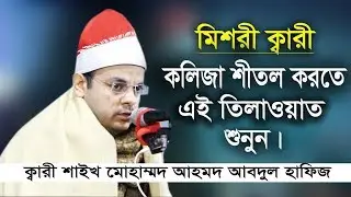 Qari Mohammad Ahmed Abdul Hafiz Mishori । International Quran Tilawat