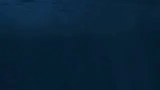 Whales&rsquo; Natural Song for Relaxation (real 3 Hours)