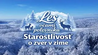 Les očami poľovníka - part 1 | Starostlivosť o zver v zime