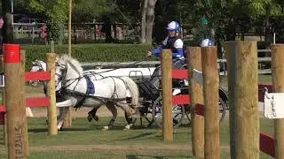 Sara Howe, advanced pony pairs, obstacle 7, Ashfields