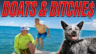 Professional Dog Training on a Boat - Australian Cattle Dog