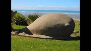 One Lane Bridge   Music Video - Rock from New Zealand