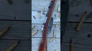Argentine Mauser 1891