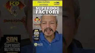 THE SUPERDOG FACTORY