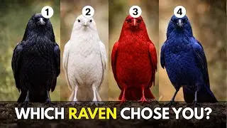 Don’t Think. Just Choose a Raven | A Carl Jung Psychological Test of Your Shadow