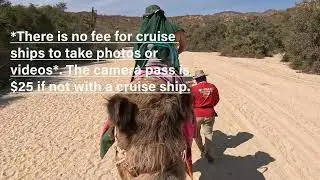 Part 1: Wild Canyon Adventures Cruise Ship Excursion