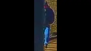 Abby & Libby's Case aka The Delphi Murders. Open Discussion! Talk to me!