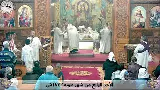 قداس الأحد الرابع من طوبه ١٧٤٢ش - الأحد ١ فبراير ٢٠٢٦م | كنيسة مارجرجس سيدي بشر - إسكندرية