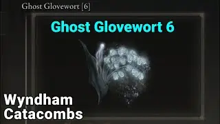 Ghost Glovewort 6 Location, Wyndham Catacombs - Elden Ring