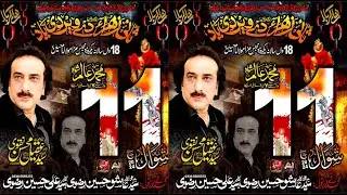 Zakir Syed Aqeel Mohsin Naqvi ||Majlis 11 Shawal 2024 || Block Y Dg khan