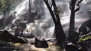 water falls yercaud