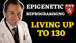 Researchers at Harvard, shown that the clock of aging can be reversed by epigenetic reprogramming.