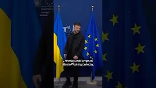Trump to Host Zelenskiy, European Allies at White House