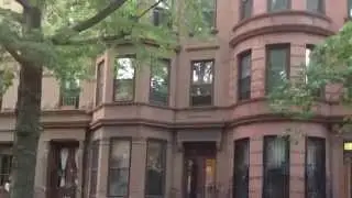 Two Bedroom  Apartment Rental in Bed Stuy Brooklyn NY Near Nostrand Avenue
