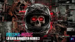 12  Gata Gangster DARK GYM PHONK 🏋️&zwj;♀️ Hardcore Workout PRISMA MUSIC