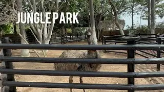 ТЕНЕРИФЕ: настоящие джунгли на Тенерифе? Да! Добро пожаловать в Jungle Park