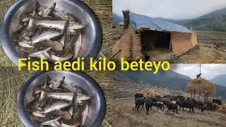 Goth sara pachi   mama Chana ra ma khade khola ma /aedi kilo fish 🐟 beteyo  din ta parako nai raixa