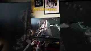 This is why this game rocks #gaming #bestps5 #ghostofyotei #games