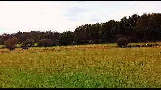 WALKING IN SUFFOLK | PLAYFORD AND THE FYNN VALLEY