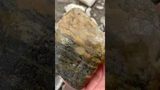 Beautiful Gneiss rock metamorphic type #crystals #geology #stone #agate #hiking #rockhounding #new