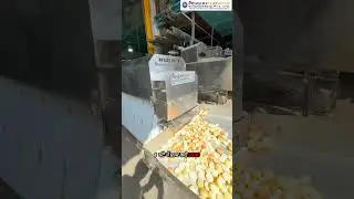 Bullet Panipuri Fryer Machine | PaniPuri Fryer Machine | Commercial fryer Machine