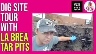 Virtual Tour of a Pleistocene Era Excavation Compound with the La Brea Tar Pits