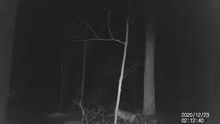 Jan 9-11 2021 APEMAN Trailcam