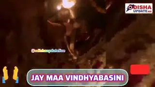 Maa Vindhyabasini Arati Special | Evening Darshan & Rituals | Odisha Update Live News