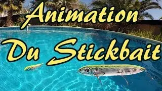Comment ANIMER un STICKBAIT ? How to Fish a TOPWATER WALKING BAIT ? WTD 🇺🇸
