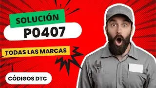 🆘 DTC P0407: Sensor EGR &ldquo;B&rdquo; &mdash; Se&ntilde;al Baja (Diagn&oacute;stico y Soluci&oacute;n) 【2025】🆘
