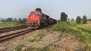 Back To Back!!! CN 834 Mixed Train & CN 417 Mixed Train @ Matsqui BC Canada 05SEP25