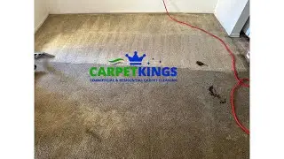 Professional Carpet Cleaning Services in Orange County, CA | Carpet Kings