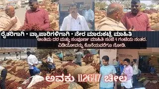 ಬ್ಯಾಡಗಿ APMC ಮಾರುಕಟ್ಟೆ ವರದಿ ಇಂದು | 09-02-2026 | Dry Red Chilli Price Today
