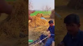 Desi Machine