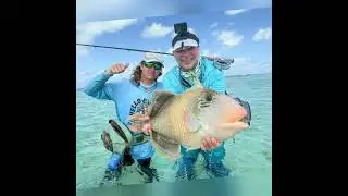 Pending all-tackle world record yellowmargin triggerfish caught on fly‼️