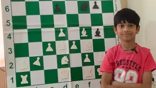Magnetic chess demo ♟️♟️ board