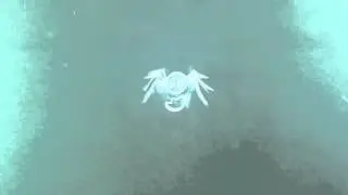 Chalk Animation - Stop Motion