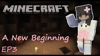 🩷 A New Beginning EP3