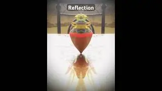 #reflection #lifestyle #lifejourney #lifereflection #reel #shots #stopmotion #film #story #animation