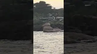 Dindi Check Dam, Dindi Reservoir, Telangana