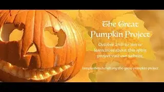 The Great Pumpkin Project