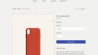 Women's Accessories website designed by Maveristic